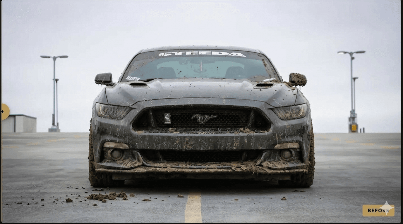 Before detailing — dirty and dusty